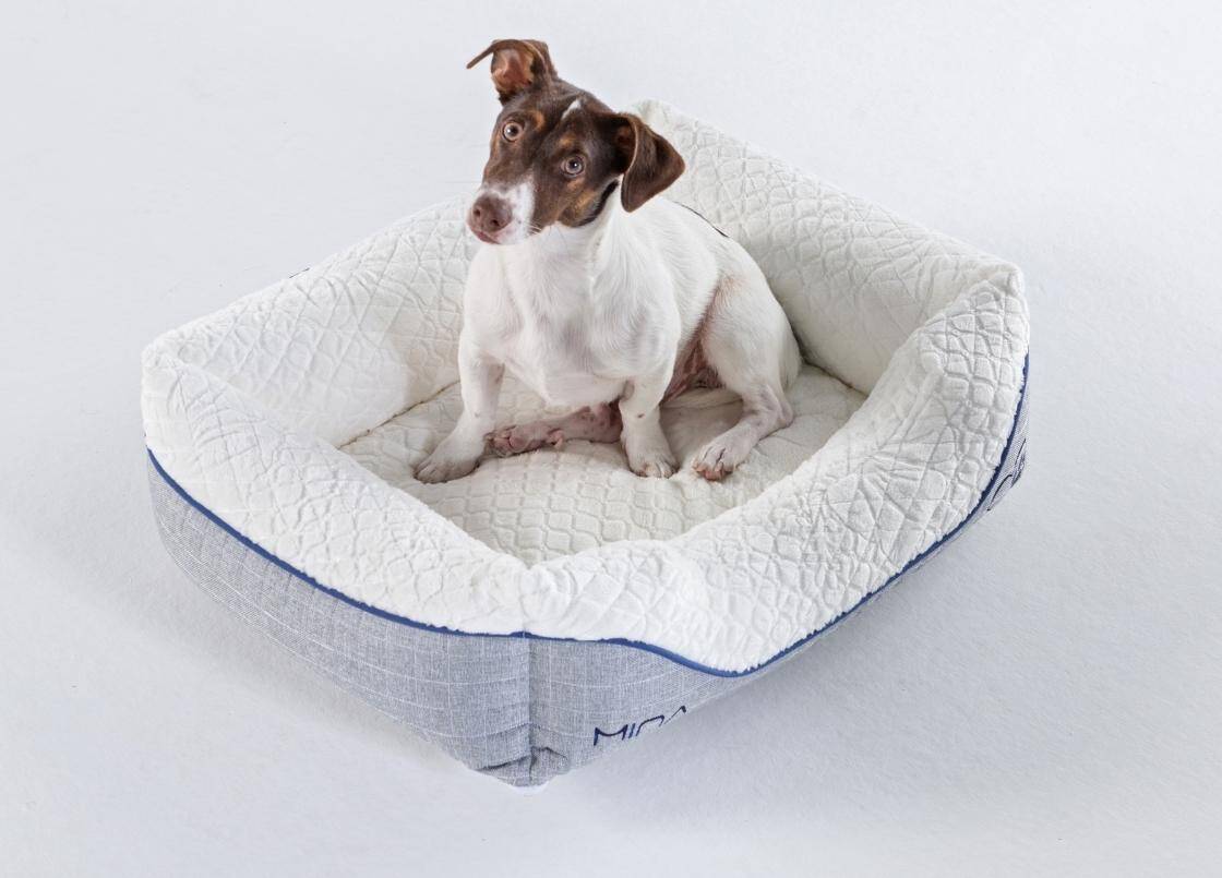 Mina Pet Bed