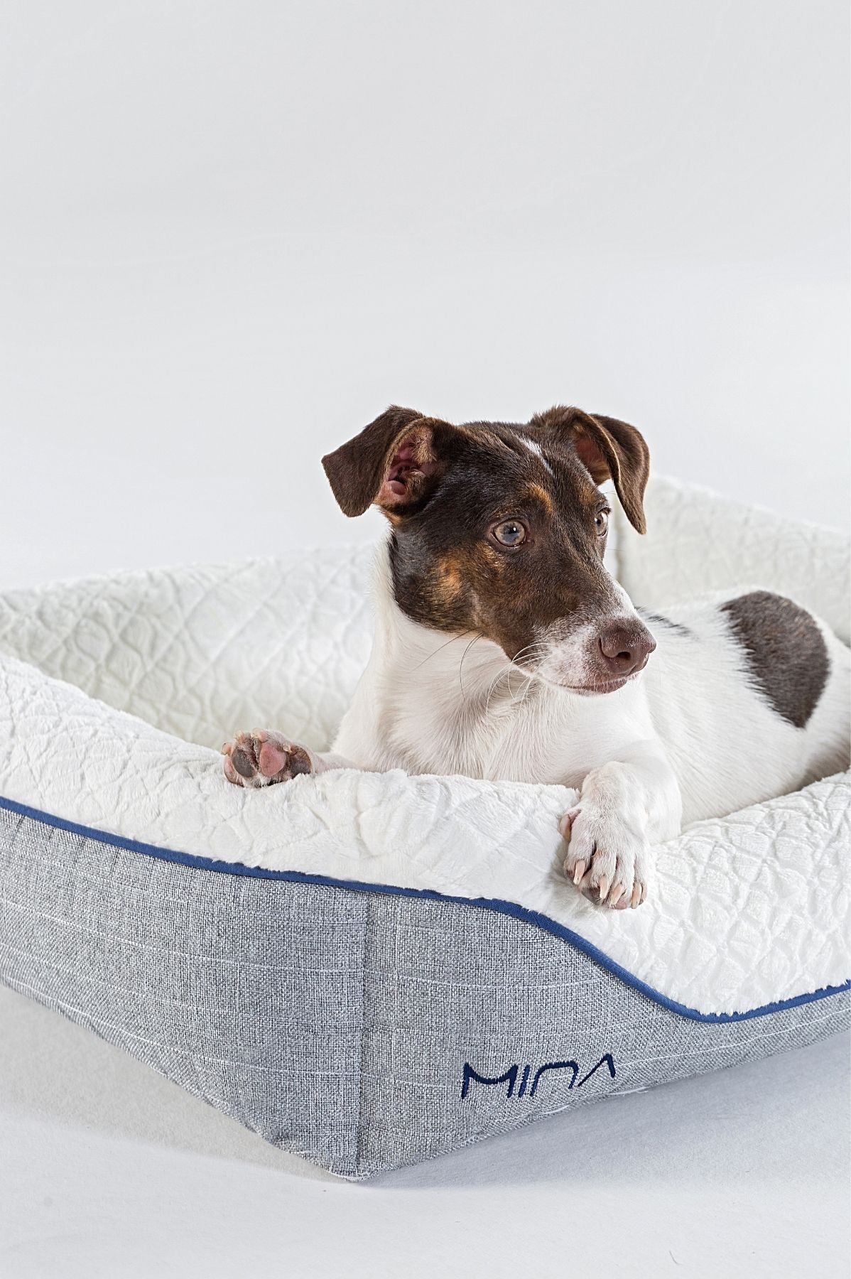 Mina - Mina Pet Bed (1)